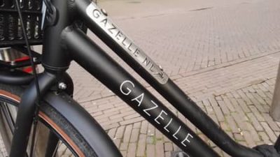 best dutch bikes 2020